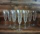 3398 Saint Louis 10 Flutes Champagne Cristal Model Tarn Hauteur 18,5 Cm