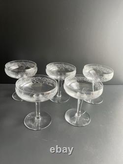 5 Coupe À Champagne En Cristal Gravé Baccarat Saint Louis