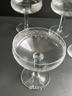 5 Coupe À Champagne En Cristal Gravé Baccarat Saint Louis