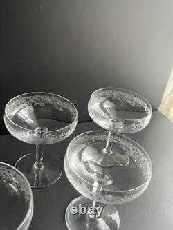 5 Coupe À Champagne En Cristal Gravé Baccarat Saint Louis
