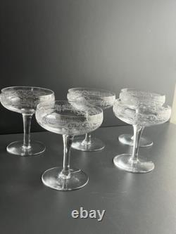 5 Coupe À Champagne En Cristal Gravé Baccarat Saint Louis