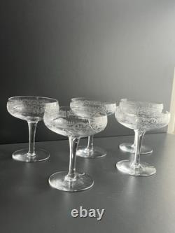 5 Coupe À Champagne En Cristal Gravé Baccarat Saint Louis