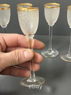 5 Verres A Liqueur En Cristal Givre St Louis Baccarat