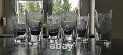 6 Grands Verres A Orangeade En Cristal St Louis Modele Massenet Signes