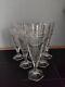 6 Verres Champagne Cristal Saint Louis Baccarat Dlg Trianon Val St Lambert