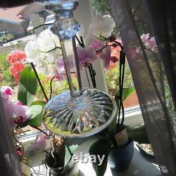 6 verre vin en cristal de saint louis modèle tommy signé H 13,8 cm L 2
