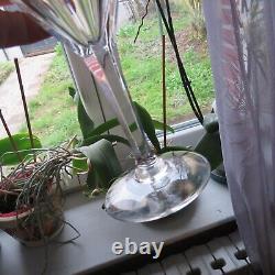 6 verres a eau en cristal de saint louis modèle bristol signé H 18,5 cm