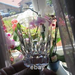 6 verres a vin en cristal de saint louis modèle Guernesey H 112 cm signé lot 1