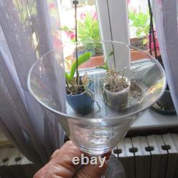 6 verres a vin en cristal saint louis modèle Lozère uni H 14 cm signée