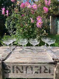 8 Coupes à champagne en cristal Baccarat, Saint louis, autres Style écaille