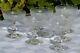 Baccarat Saint Louis Service De 6 Coupes à Champagne En Cristal Gravé