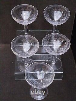 COUPES A CHAMPAGNE série de 5 CRISTAL Gravé Ancien H 10.5 SAINT LOUIS/ BACCARAT