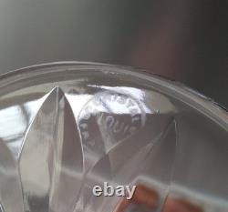 Flûte Cristal Excellence Saint Louis