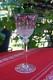 Magnifique Verre Cristal Violet Modele Tommy De Saint-louis 19,8cm