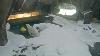 Polar Bear Kallu Playing In The Snow At Saint Louis Zoo
