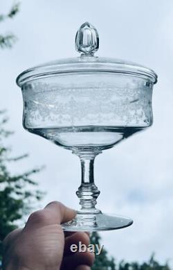 Saint Louis Cordial Decanter Set Service Carafe A Liqueur Cristal Grave Baccarat