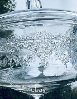 Saint Louis Cordial Decanter Set Service Carafe A Liqueur Cristal Grave Baccarat