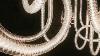 Saint Louis Introduction To The Torsade Lighting Collection