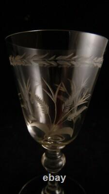 Service de 6 verres à vin en cristal de Saint Louis décor gravé de fougères