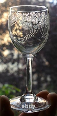 Service liqueur Art Nouveau Carafe 8 verres cristal gravé Baccarat St Louis