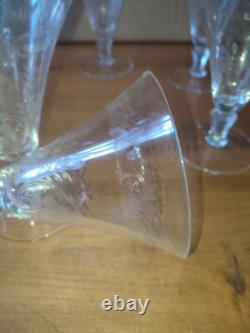 Six verres à eau en cristal décor de fleurs et frise dlg Baccarat St Louis